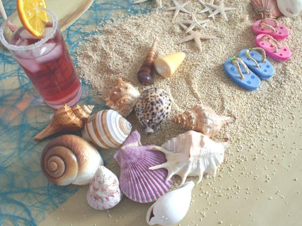 coquillages