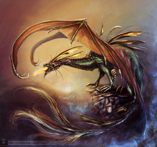dragon