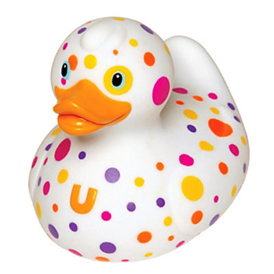 canard