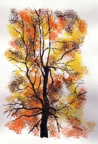 aquarelle