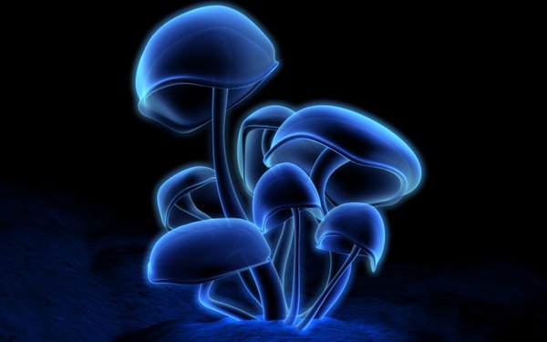 bleu