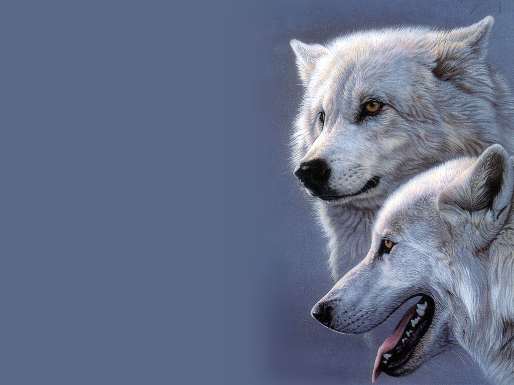 Baccalauréat des loups D875cab2